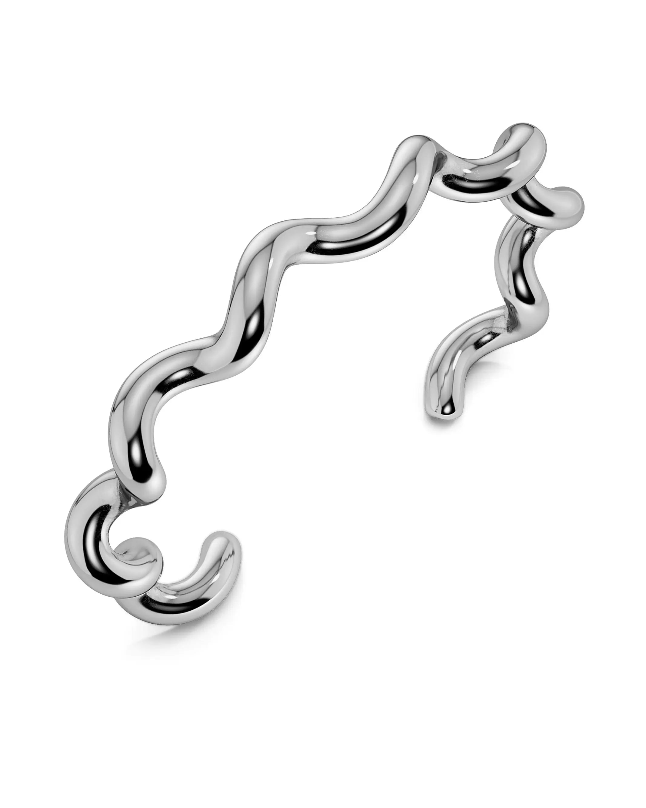 Spiral Bangle Silver EdbladNZ