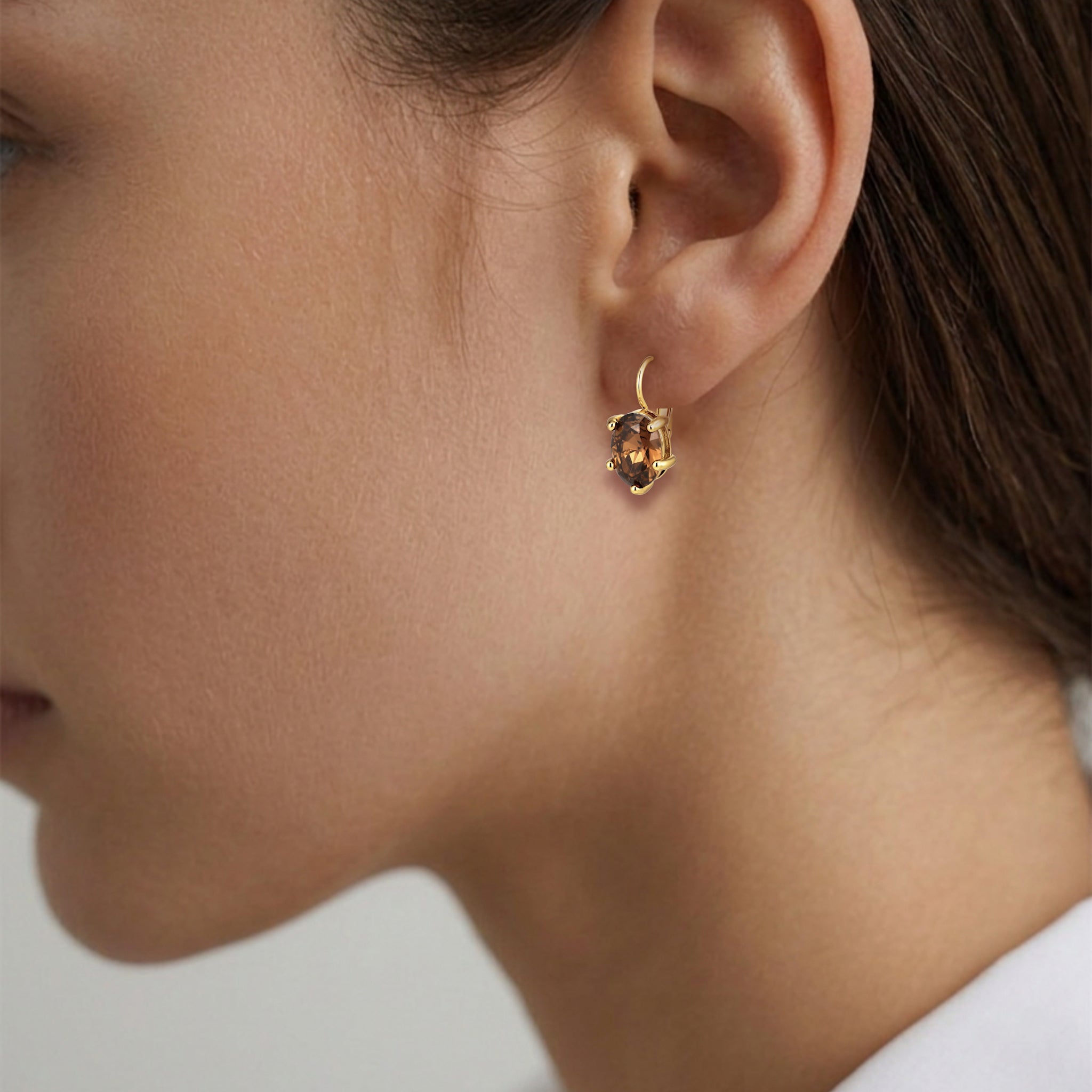 Kristy Gold French Hook Earrings – Brown