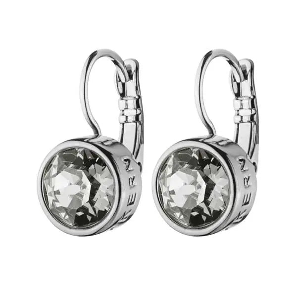 Louise Shiny Silver Earrings - Grey - Dyrberg/Kern NZ